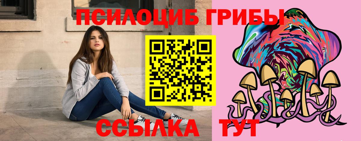 Галлюциногенные грибы мухоморы Новороссийск