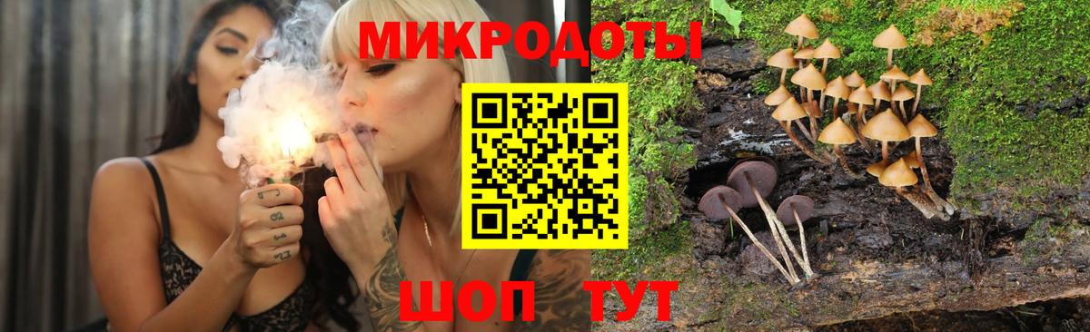 Псилоцибиновые грибы Cubensis  Вход с VPN  что такое наркотик  Новороссийск 