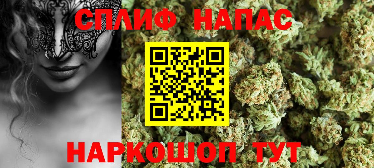 Марихуана марихуана Новороссийск